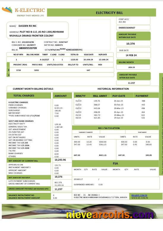 PAKISTAN K-ELECTRIC LIMITED business utility bill
